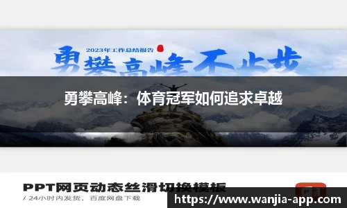 玩加电竞官网