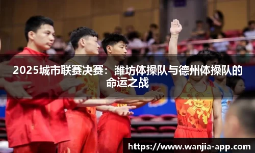 玩加电竞官网
