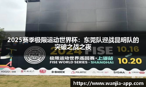 玩加电竞官网
