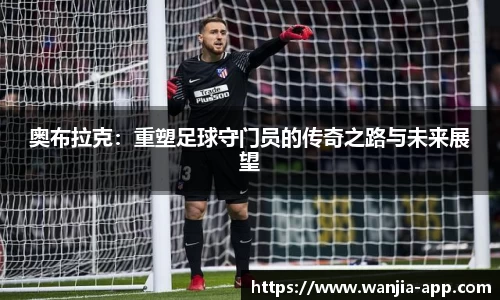 玩加电竞官方正版网站